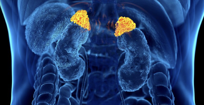 tuyen-tuy-va-tuyen-tren-than-nhung-dieu-can-biet 2