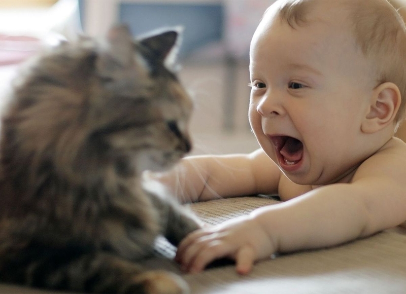 Nguyên nhân trẻ bị nổi mẩn ngứa và cách chăm sóc hiệu quả 2