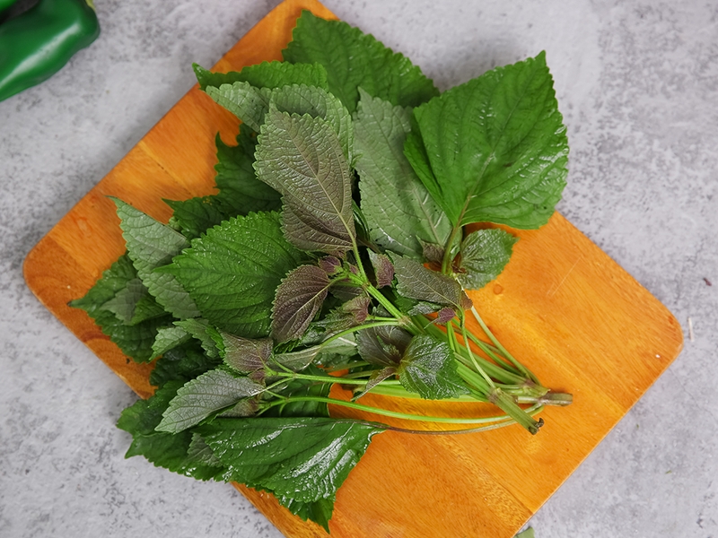 Uống nước tía tô giảm cân có thực sự hiệu quả không 1