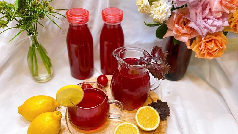 Uống nước tía tô giảm cân có thực sự hiệu quả không 2