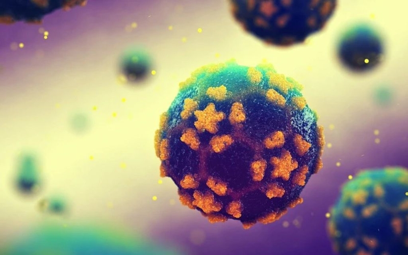 Vắc xin bại liệt có những loại nào? Đặc điểm của từng loại vắc xin 1