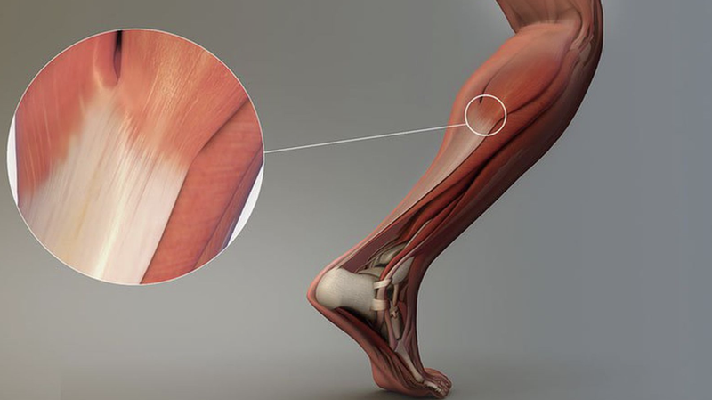 vai-tro-benh-ly-lien-quan-den-gan-la-gi 1