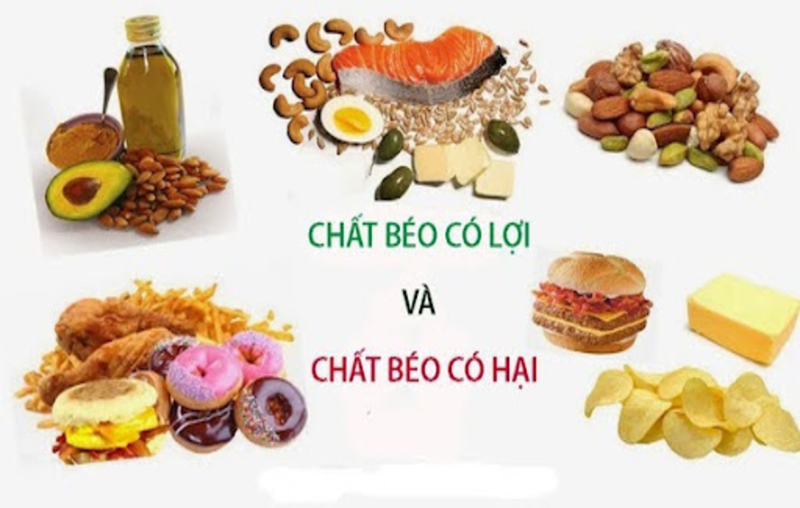 Vai-tro-cua-chat-beo-va-cach-kiem-soat-chat-beo-trong-co-the 2.png