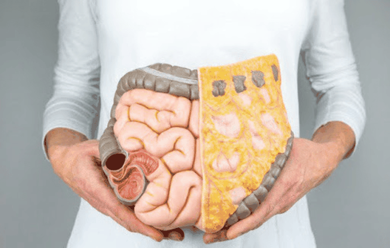 Vai-tro-cua-chat-beo-va-cach-kiem-soat-chat-beo-trong-co-the 3.png