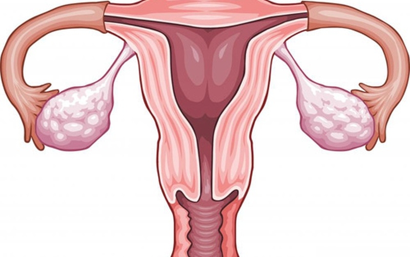 Vì sao kinh nguyệt đều nhưng không có thai 4