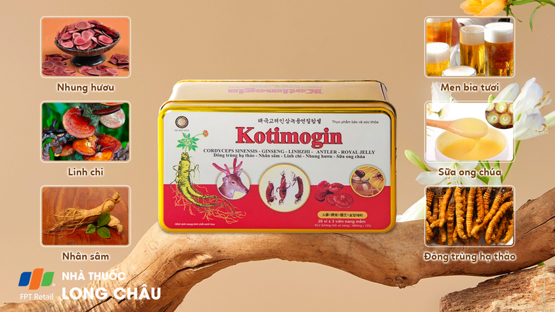 Đông Trùng Hạ Thảo Kotimogin 2