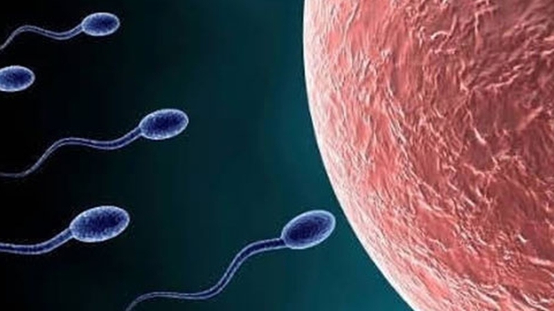 Vô sinh nam có phải yếu sinh lý? Sự thật bạn cần biết 2