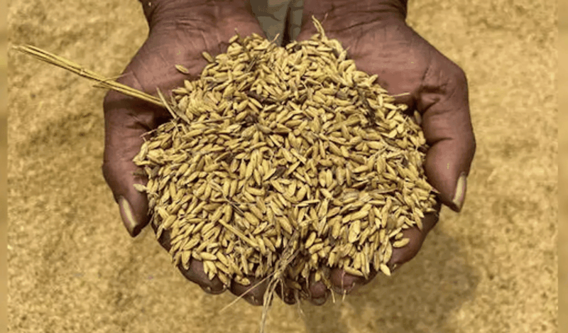 Vo-trau-phu-pham-nhung-day-cong-dung 2.png