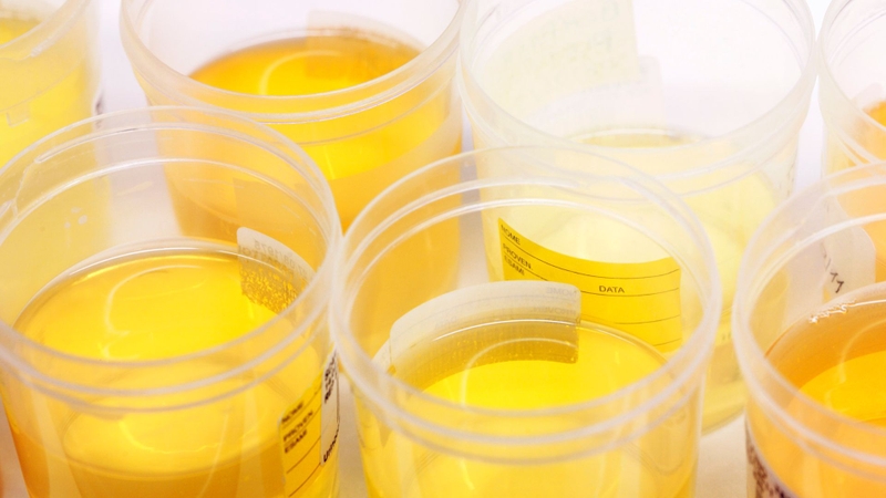 Vonoprazan được đào thải chủ yếu qua nước tiểu, chiếm khoảng 67% liều đã dùng