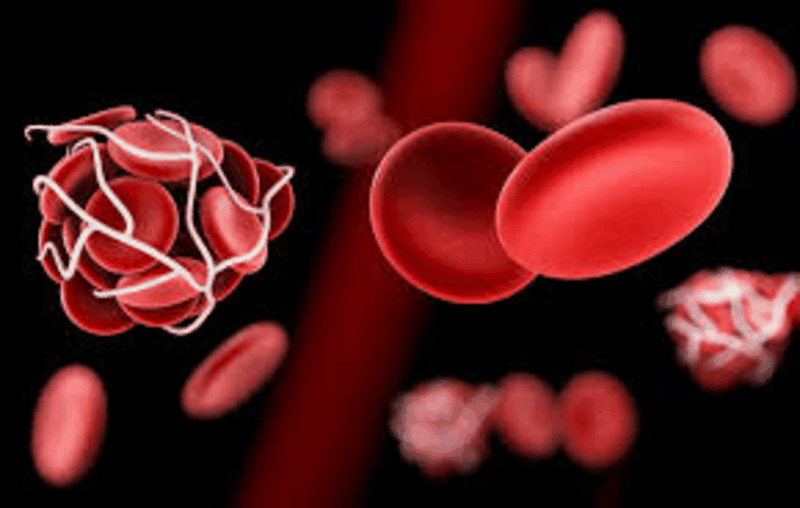 Xét nghiệm D-dimer khi mang thai và những điều bạn cần biết 2.png