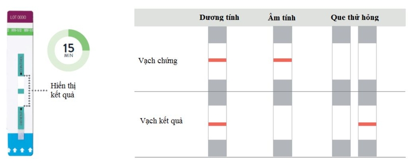 Xét nghiệm HIV nhanh là gì? Que test HIV có chính xác không? 1