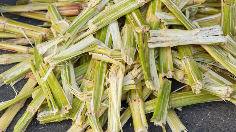 Trong công nghiệp, Xylose chủ yếu được tách từ hemicellulose của các nguồn thực vật như gỗ, rơm rạ, vỏ trấu và bã mía