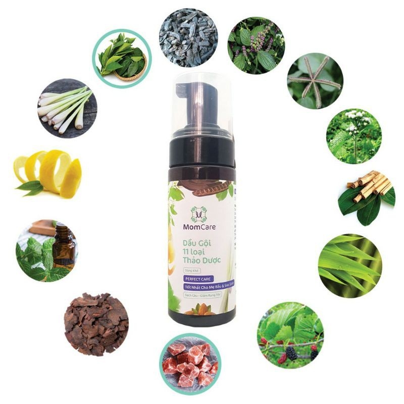 Top 7 sản phẩm dầu gội trị rụng tóc sau sinh hiệu quả, an toàn 2