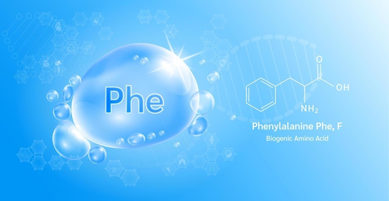 Phenylalanine là tiền chất không thể thiếu trong quá trình tổng hợp một số chất dẫn truyền thần kinh