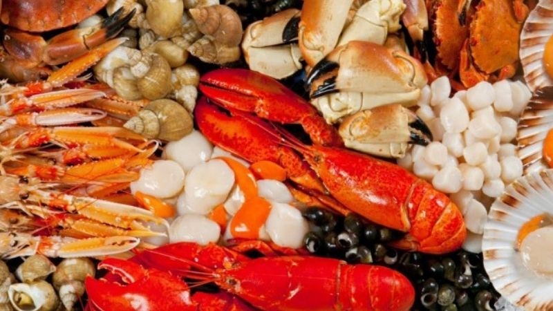 Nên tránh một số loại cá, động vật có vỏ và động vật giáp xác có hàm lượng acid uric cao