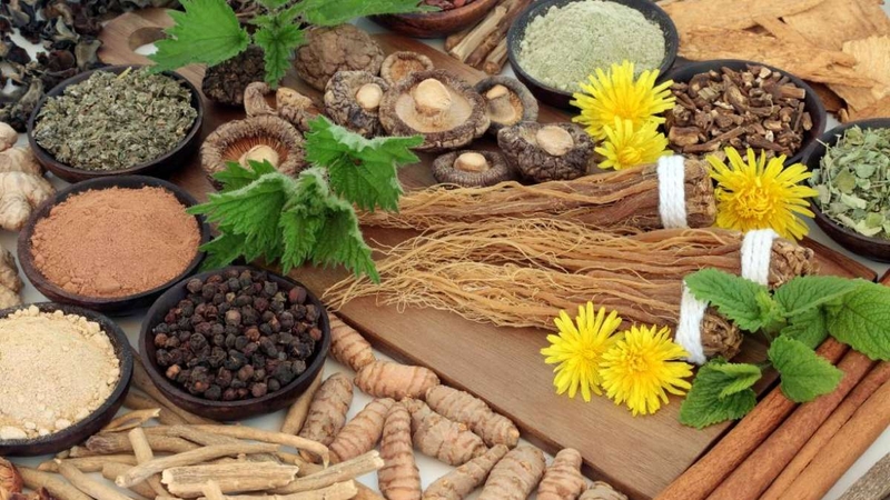 Adaptogens: “Núp bóng” nhiều loại thảo mộc giảm căng thẳng và lo âu hiệu quả 1