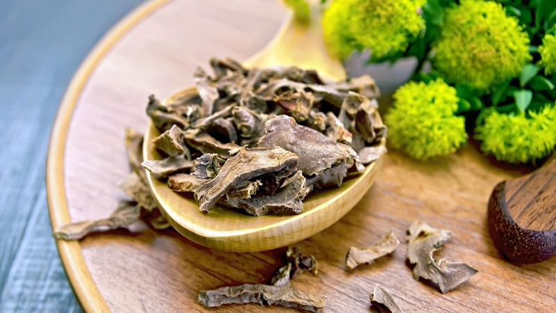 Adaptogens: “Núp bóng” nhiều loại thảo mộc giảm căng thẳng và lo âu hiệu quả 3