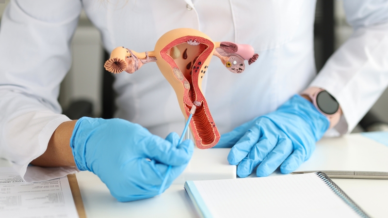 Adenomyosis là bệnh gì? Nguyên nhân, triệu chứng, phương pháp chẩn đoán và điều trị 0