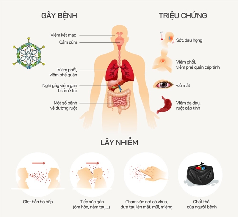 Adenovirus – khi nào trẻ cần nhập viện điều trị nội trú?2