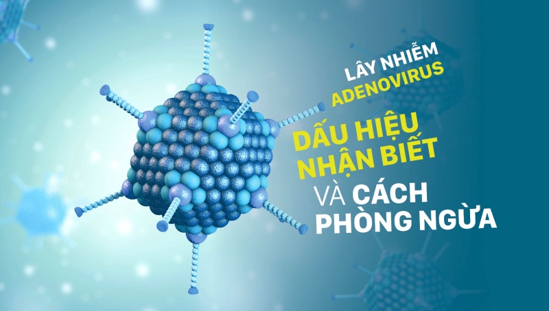 Adenovirus là gì? Triệu chứng và thời gian ủ bệnh bạn cần biết 1