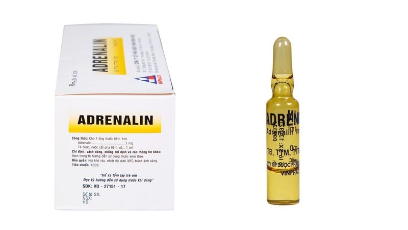 Người có nguy cơ phản vệ nên được hướng dẫn sử dụng Adrenaline đúng cách