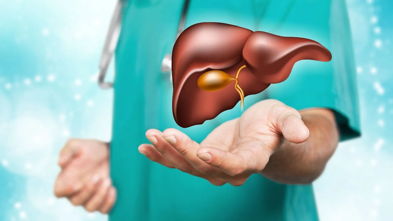 AHCC là gì? Tác động của AHCC đối với bệnh ung thư như thế nào? 1