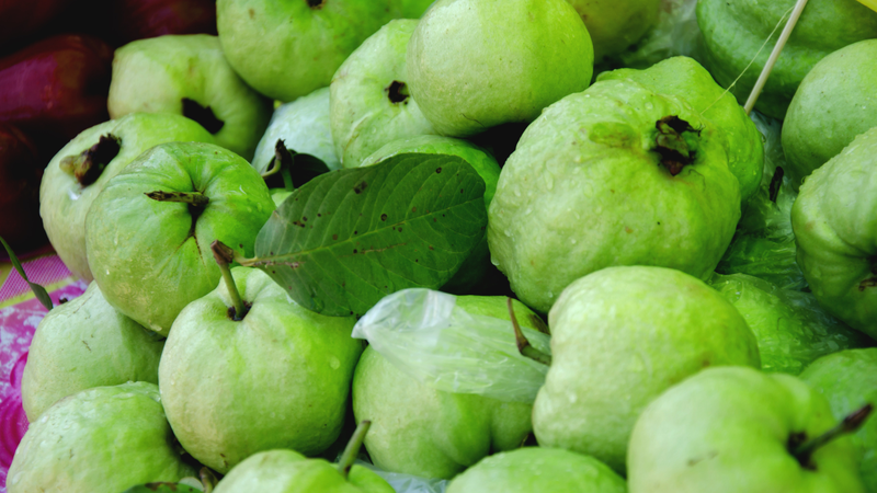 ai-khong-nen-an-oi-va-nhung-loi-ich-suc-khoe-cua-qua-oi-co-the-ban-chua-biet 4.png