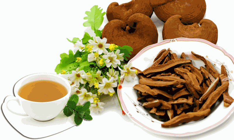 Ai không nên dùng nấm linh chi đỏ 3