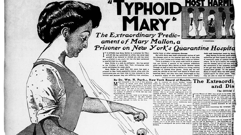 Ai là người đã phát hiện ra bệnh thương hàn? 2