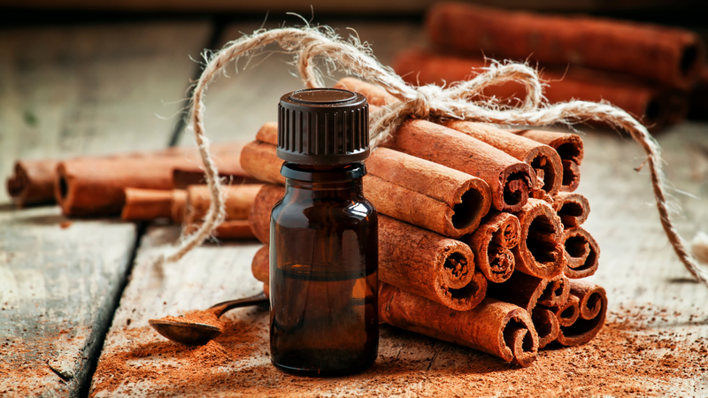 Aldehyde thơm như cinnamaldehyde mang mùi quế đặc trưng, tạo hương thơm quen thuộc trong tự nhiên