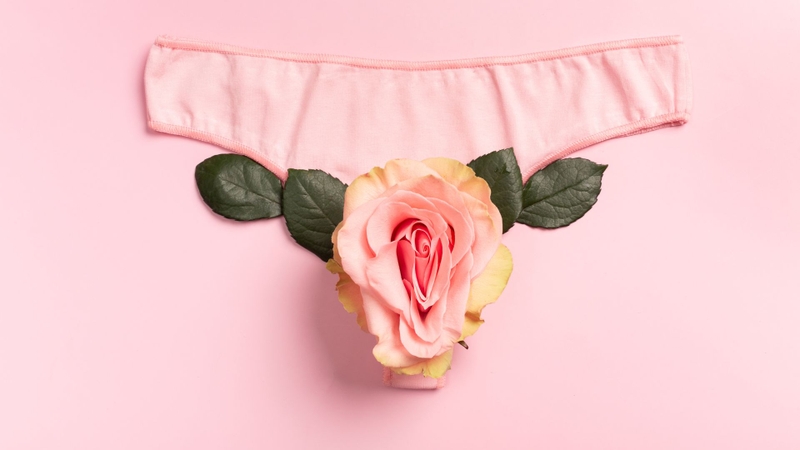 Âm đạo là gì? Vị trí, cấu tạo và chức năng âm đạo 3