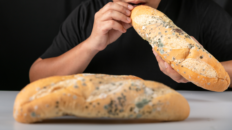 Ẩm mốc có gây hại cho sức khoẻ không? 2