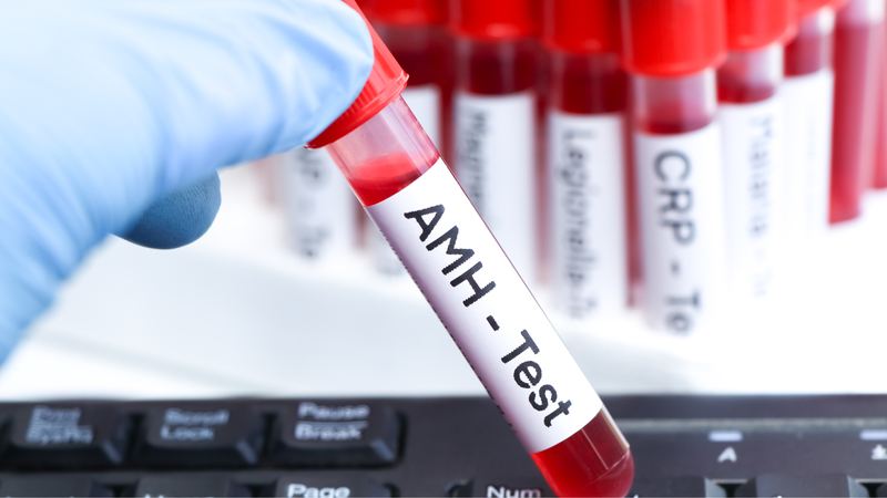Chỉ số AMH phản ánh số lượng nang noãn trong buồng trứng