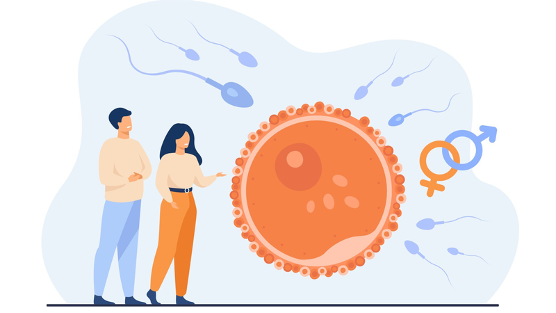 Phụ nữ cần lên kế hoạch chăm sóc sức khỏe để chuẩn bị cho việc mang thai