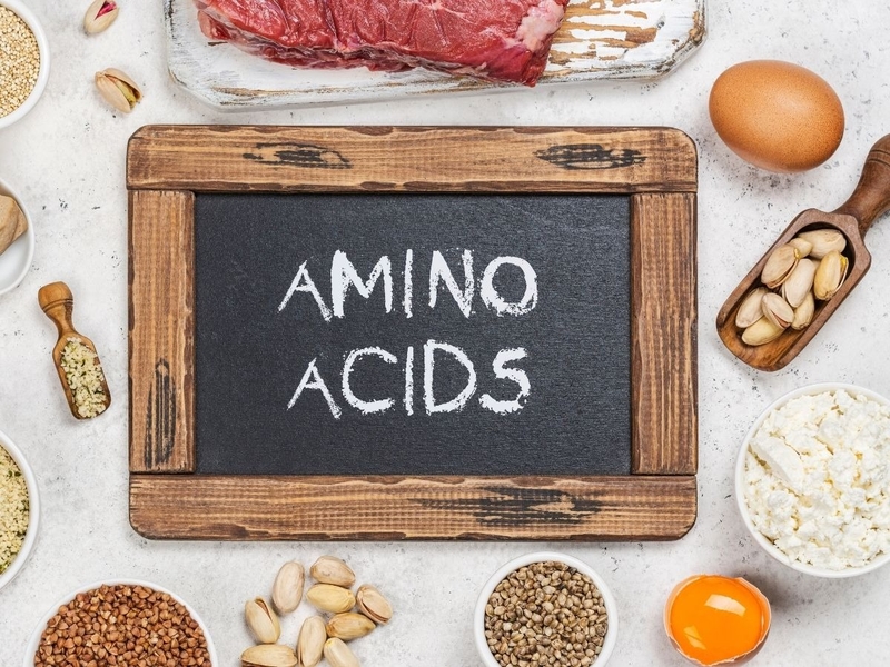 Amino axit là gì