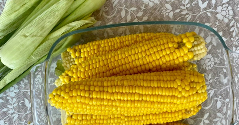Ăn bắp luộc có tốt không? Có nên ăn bắp luộc mỗi ngày hay không?2
