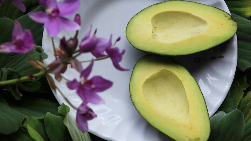 Ăn bơ có béo không? Bí quyết ăn bơ giúp giảm cân hiệu quả 1