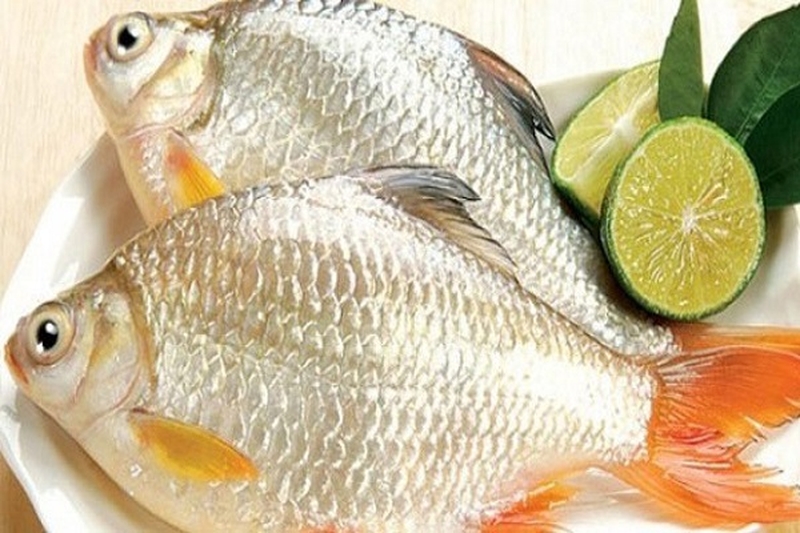 Giải đáp ăn cá mè có tốt không 2