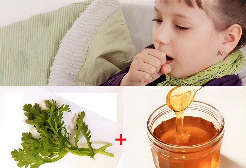 Ăn cải cúc chữa đau đầu có hiệu quả tốt không? Những tác dụng của cải cúc 3