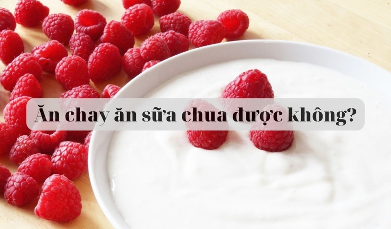 Ăn chay ăn sữa chua được không? Các loại sữa chua cho người ăn chay 1