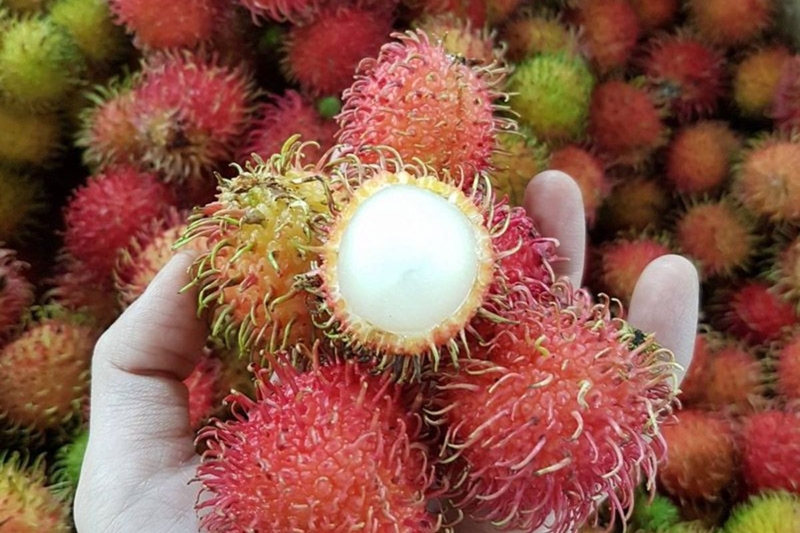 Ăn chôm chôm có tác dụng gì? Những loại chôm chôm phổ biến hiện nay? 4