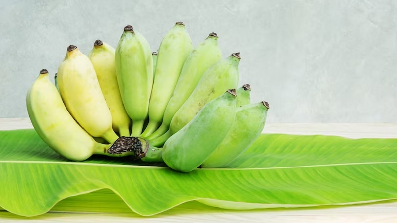 Ăn chuối xanh có tác dụng gì? Nên hay không nên ăn chuối xanh? 2