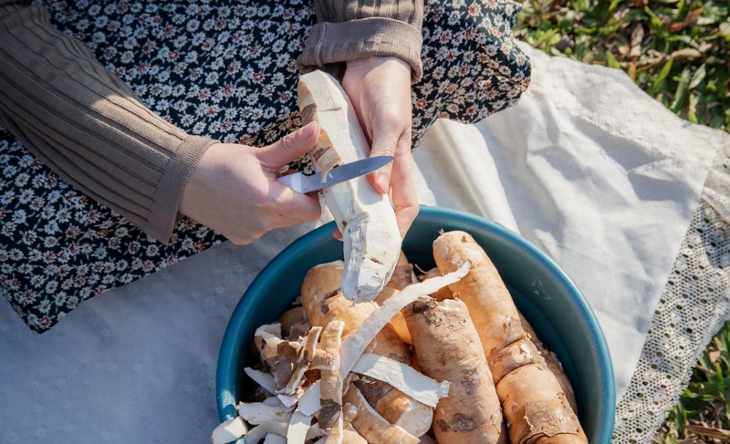 Ăn củ sắn có tốt không? Cách ăn củ sắn tốt cho sức khỏe 4