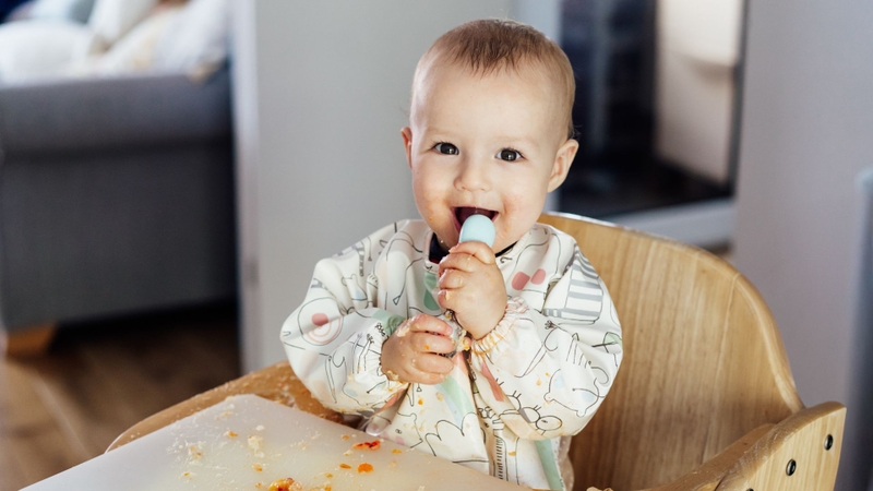 Ăn dặm BLW là gì là câu hỏi của nhiều phụ huynh