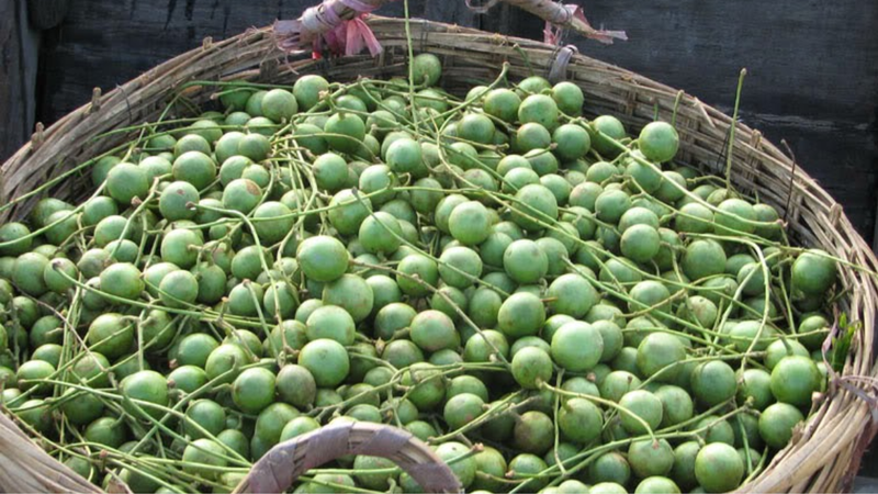 Ăn dâu da xanh có nuốt hạt được không? 1