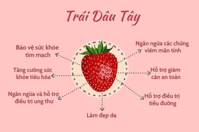 ăn dâu tây có tác dụng gì 1