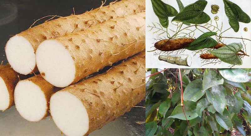 Củ mài có chứa enzyme giúp giảm hội chứng tiền mãn kinh ở phụ nữ