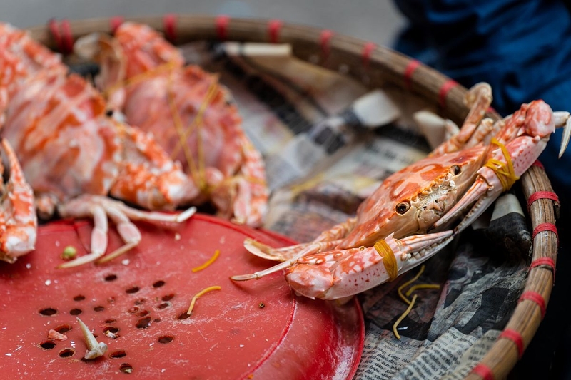 an-ghe-co-giup-tang-chieu-cao-khong 2.jpg