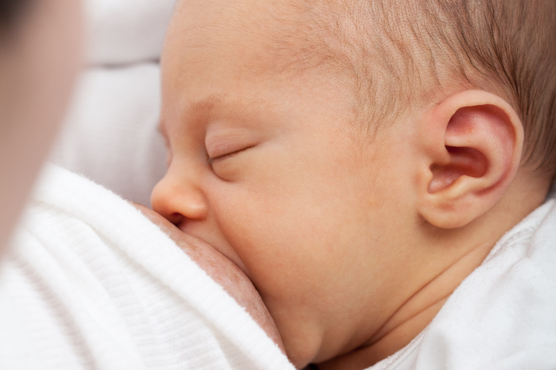 Ăn gì để nhiều sữa​? Gợi ý top 10 thực phẩm lợi sữa dành cho mẹ bầu 5