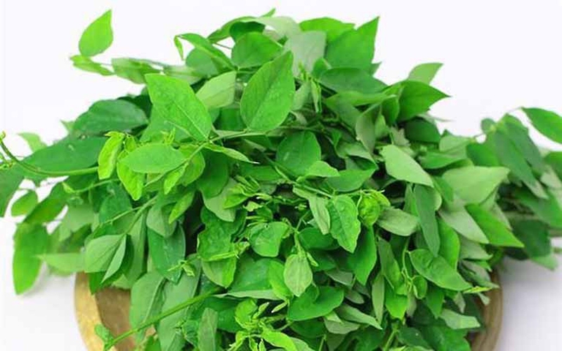 Ăn gì để thải độc gan - Rau ngót là thực phẩm lý tưởng